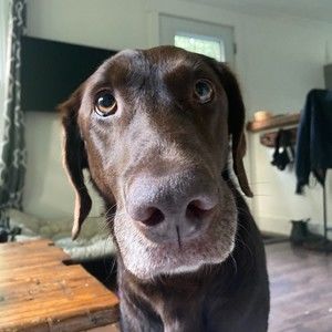 Meet your Posher, Becs